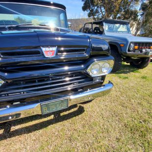 Fords parked on grass